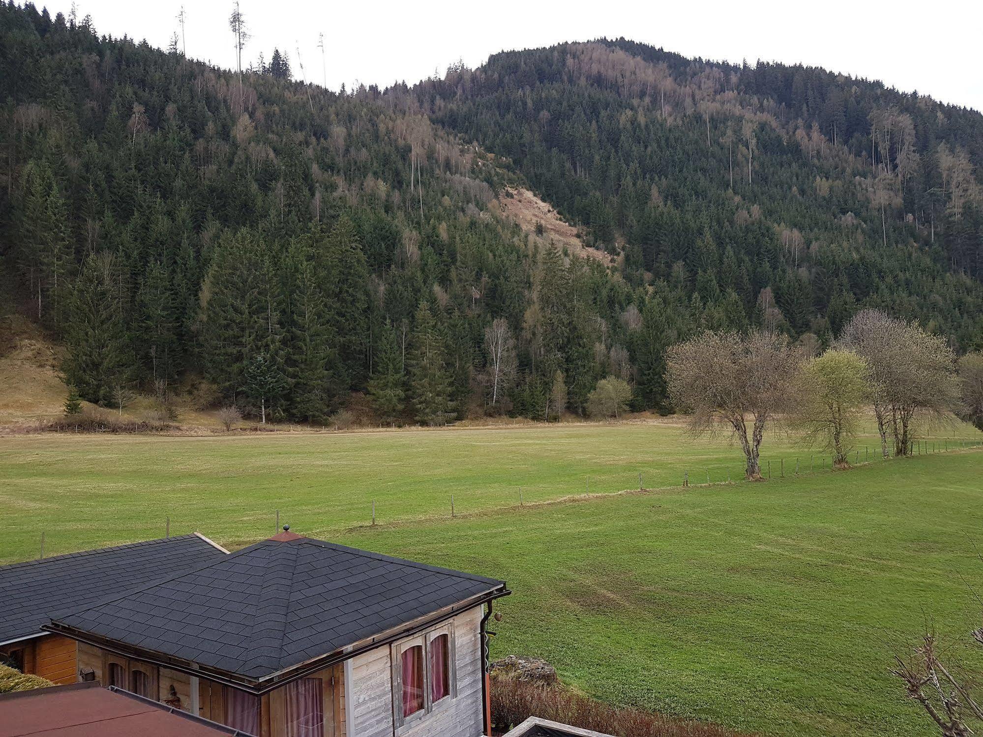 Das Taubenhaus Hollersbach im Pinzgau Exterior photo